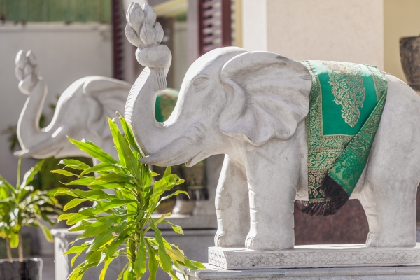 Green Palace Hotel (Phnom Penh)